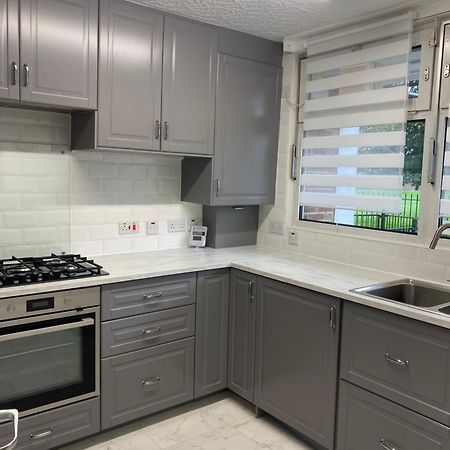 Luxury 3 Bedroom Flat With Garden Londres Extérieur photo